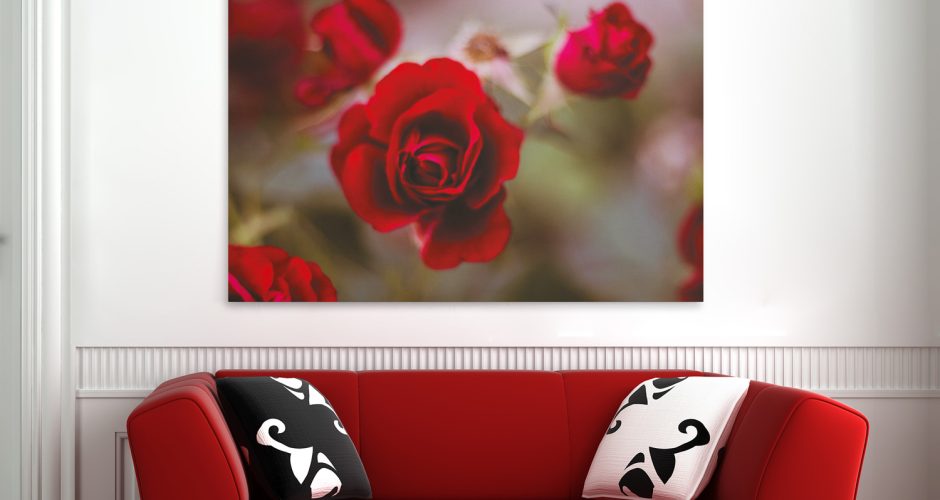 ΛΟΥΛΟΥΔΙΑ - FLORAL - Κατακόκκινο ρόδο από Τριαντάφυλλο