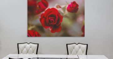 canvas - Κατακόκκινο ρόδο από Τριαντάφυλλο
