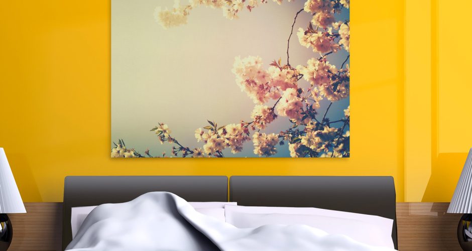 canvas - Άνθη κερασιάς