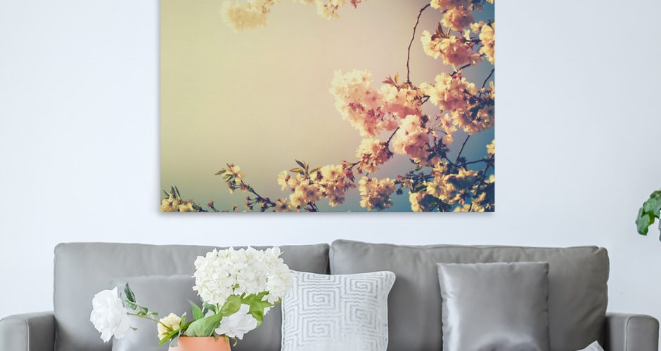 canvas - Άνθη κερασιάς