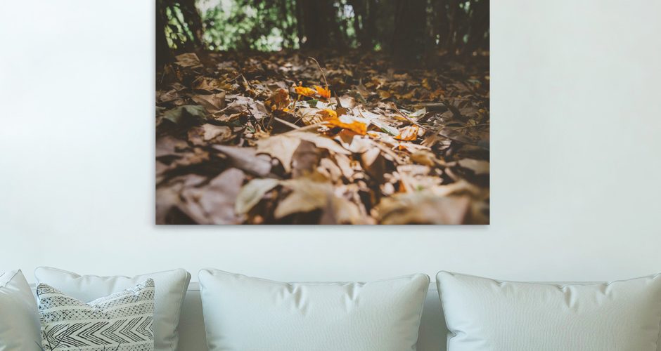 canvas - Φύλλα στρωμένα στο φθινοπωρινό δάσος