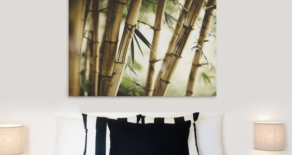 Πίνακες - Καλάμια bamboo σε κοντινό πλάνο