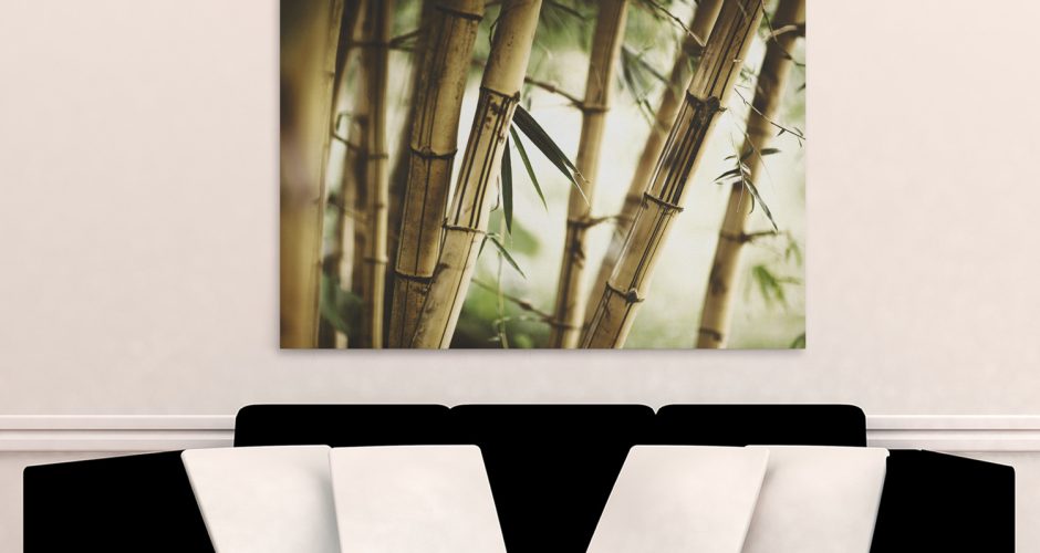 Πίνακες - Καλάμια bamboo σε κοντινό πλάνο
