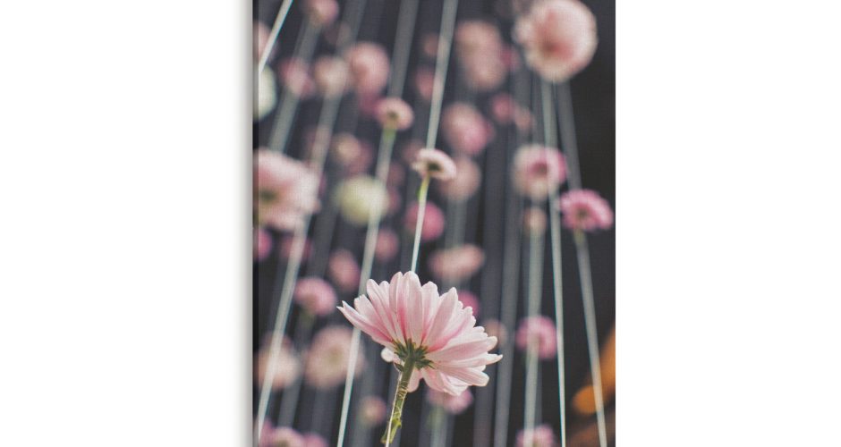 canvas - Αιωρούμενα άνθη