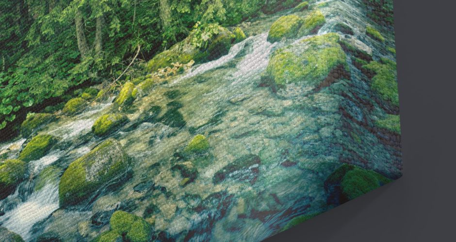 canvas - Ποτάμι σε καταπράσινο σκηνικό στο δάσος
