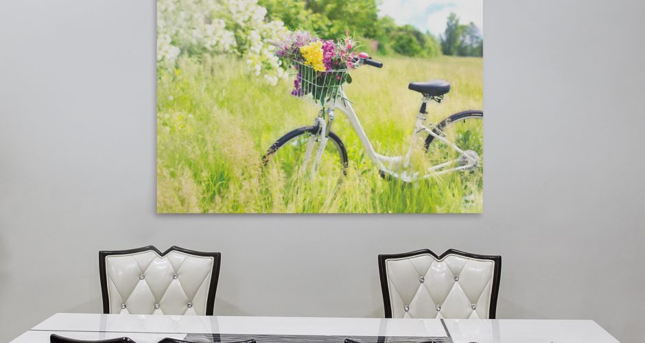 Πίνακες - Καλάθι με λουλούδια σε λευκό ποδήλατο