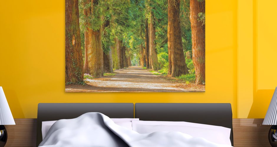 Πίνακες - Δρομάκι ανάμεσα σε καταπράσινα δέντρα