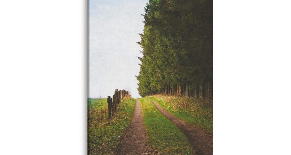 canvas - Δρόμος στην άκρη του δάσους
