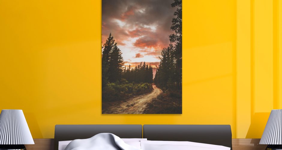 Πίνακες - Χωματόδρομος στο δάσος σε συννεφιασμένο ουρανό