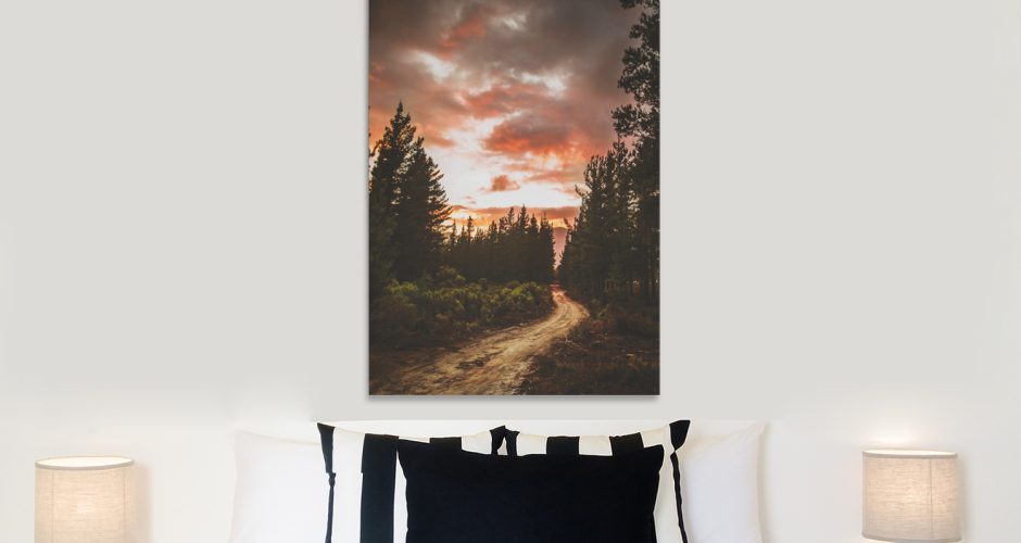 Πίνακες - Χωματόδρομος στο δάσος σε συννεφιασμένο ουρανό