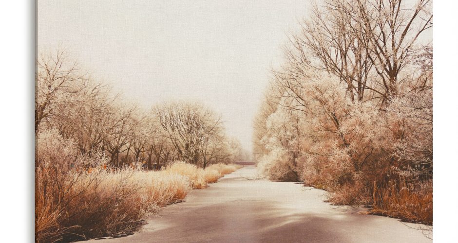 Πίνακες - Παγετός στο δρόμο του δάσους