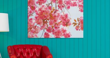 canvas - Κλαδιά με άνθη κερασιάς