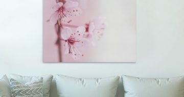 canvas - Ροζ άνθη σε παλ απόχρωση