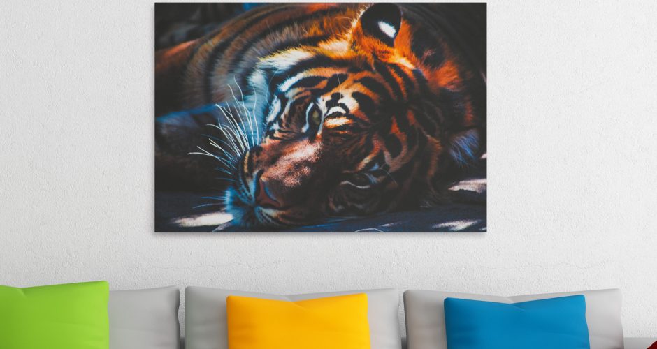 canvas - Τίγρης ξαπλωμένη στο μισοσκόταδο