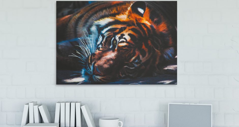 canvas - Τίγρης ξαπλωμένη στο μισοσκόταδο