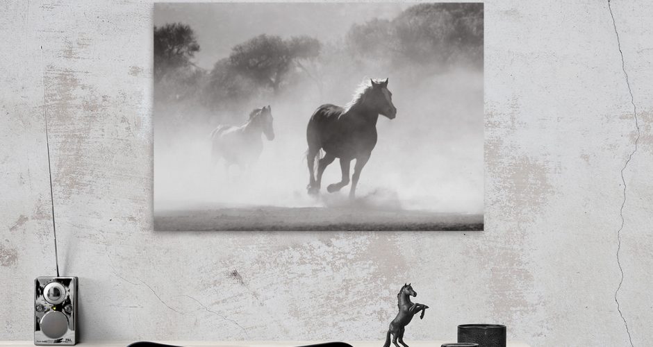 canvas - Άλογα τρέχουν στην σκόνη (Ασπρόμαυρη)