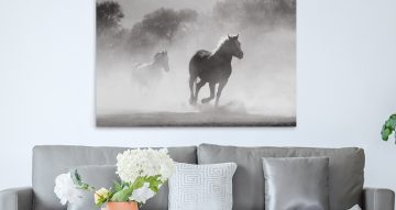 ΖΩΑ - Άλογα τρέχουν στην σκόνη (Ασπρόμαυρη)
