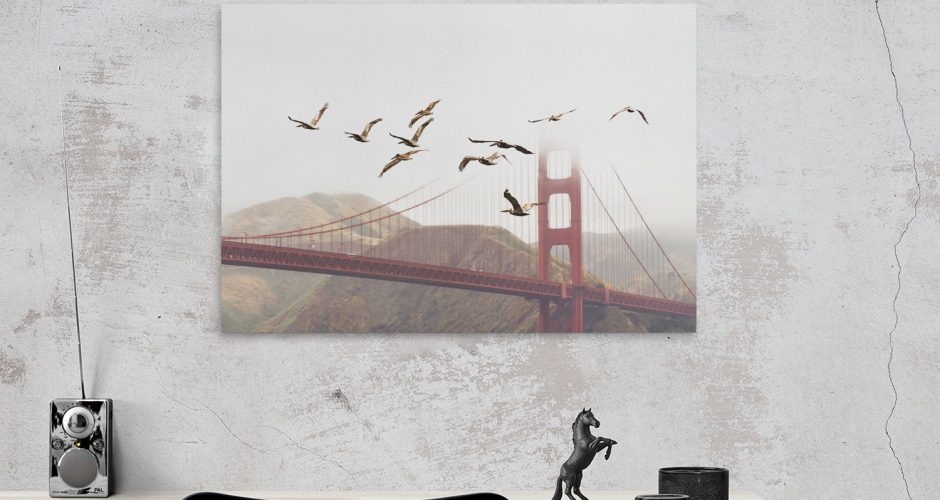 ΖΩΑ - Κοπάδι πουλιών πετά πάνω από τη γέφυρα