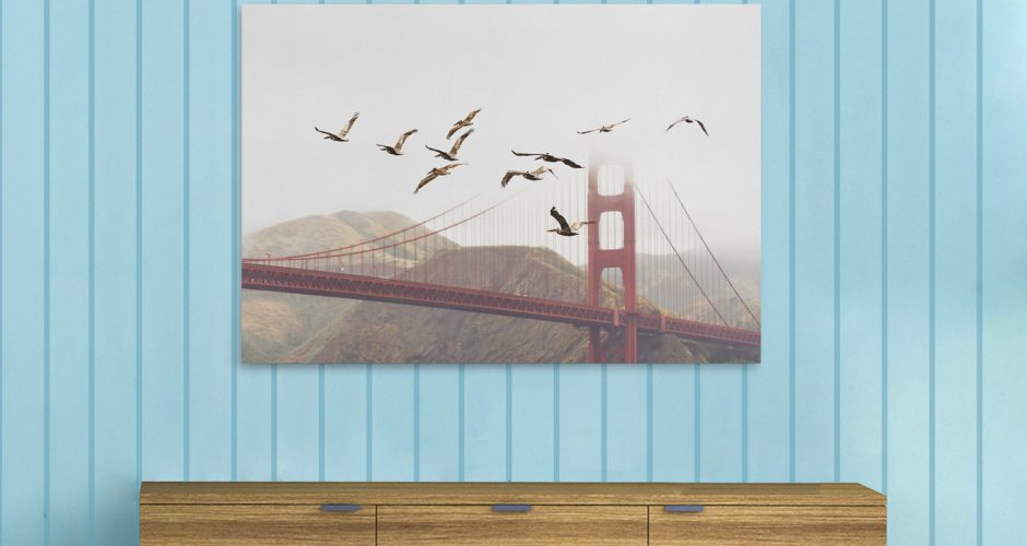 ΖΩΑ - Κοπάδι πουλιών πετά πάνω από τη γέφυρα