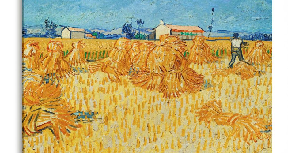 canvas - Vincent Van Gogh - Corn Harvest in Provence