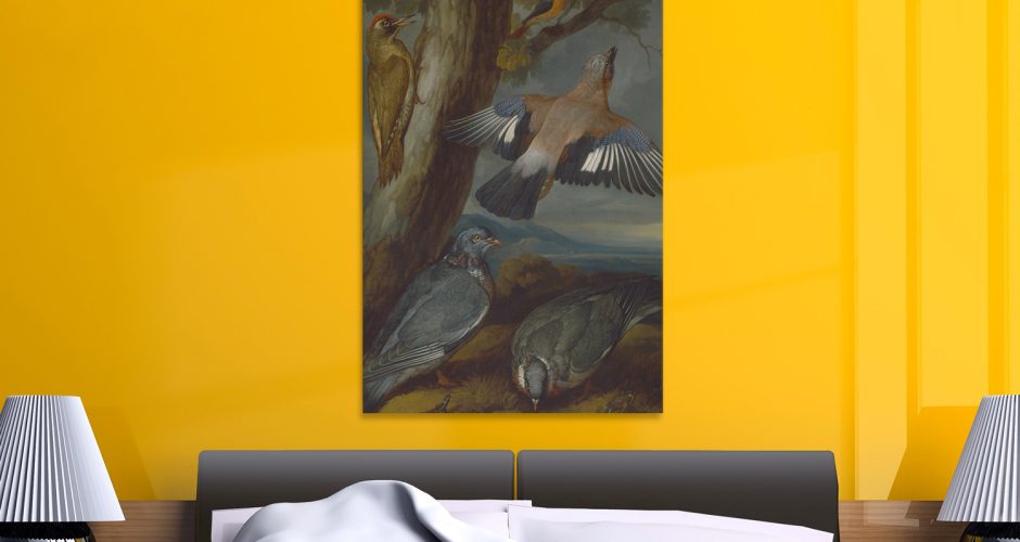 canvas - Francis Barlow - Jay, Green Woodpecker, Pigeons and Redstart