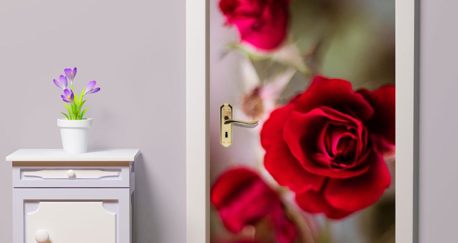 Αυτοκόλλητα Πόρτας - Κατακόκκινο ρόδο από Τριαντάφυλλο