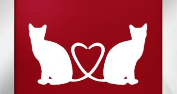 Aυτοκόλλητα Συσκευές - Ερωτευμένες Γάτες