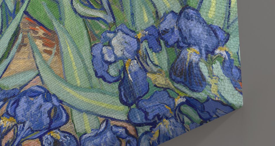 Vincent van Gogh - Irises του Vincent van Gogh
