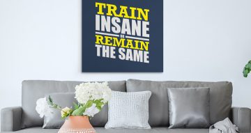 ΠΙΝΑΚΕΣ - Train insane or remain the same