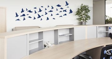 Meeting Rooms & Reception - Σμήνος πουλιών που πετούν