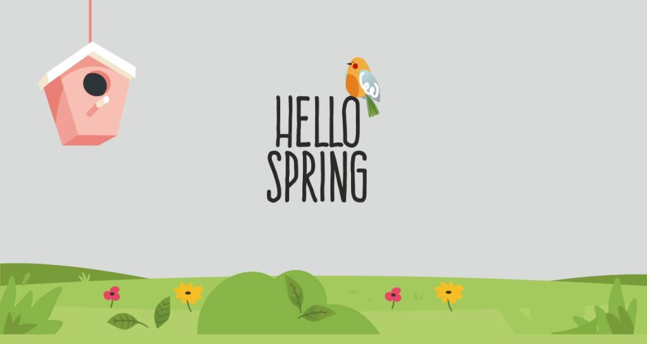 Ανοιξιάτικη Βιτρίνα - Spring Collection - Ανοιξιάτικη διακόσμηση βιτρίνας HELLO SPRING με καναρίνι